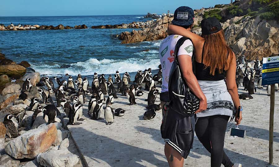 Cape Town: CAPE OF GOOD HOPE AND PENGUINS PRIVATE FULL DAY. - Camps Bay and the Atlantic Seaboard