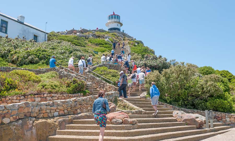 Cape Town: CAPE OF GOOD HOPE AND PENGUINS PRIVATE FULL DAY. - Hout Bay and the seal island option