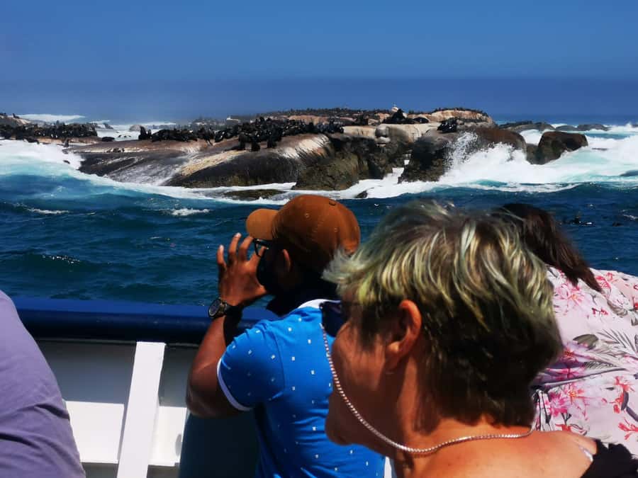 Cape Town: CAPE OF GOOD HOPE AND PENGUINS PRIVATE FULL DAY. - The curves and cliffs of Chapmans Peak Drive