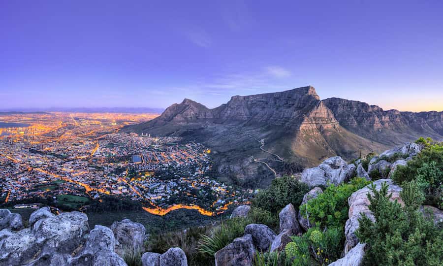 Cape Town: CAPE OF GOOD HOPE AND PENGUINS PRIVATE FULL DAY. - Simons Town and the African penguins