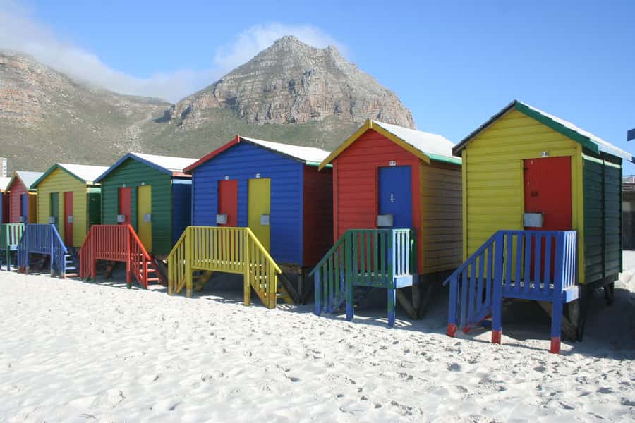 Cape Town: Cape of Good Hope & Boulders Beach Group Tour - Boulders Beach and the African penguins