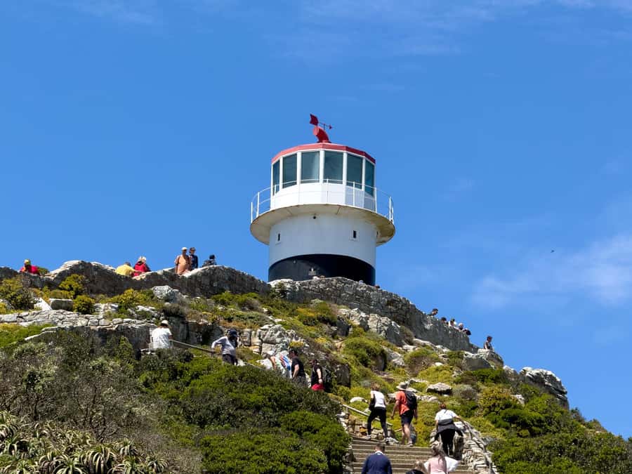 Cape Town: Cape of Good Hope & Penguin Colony Entry Ticket - A Long Day With Some Traffic Risk
