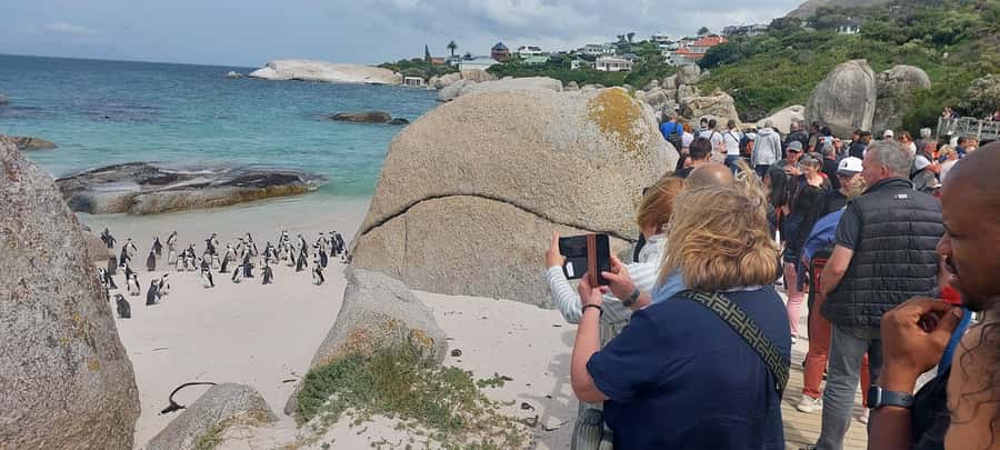 Cape Town: Cape of Good Hope, Penguins and Sightseeing Tour - Key points to know before booking