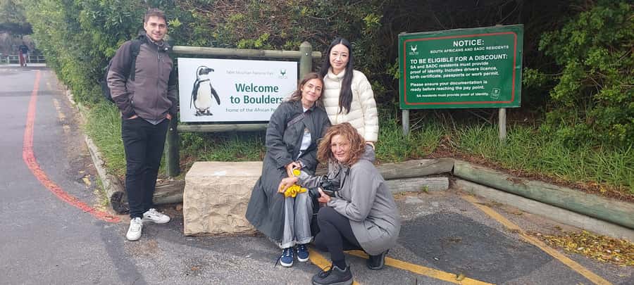 Cape Town: Cape of Good Hope, Penguins and Sightseeing Tour - Table Mountain gives you the big picture