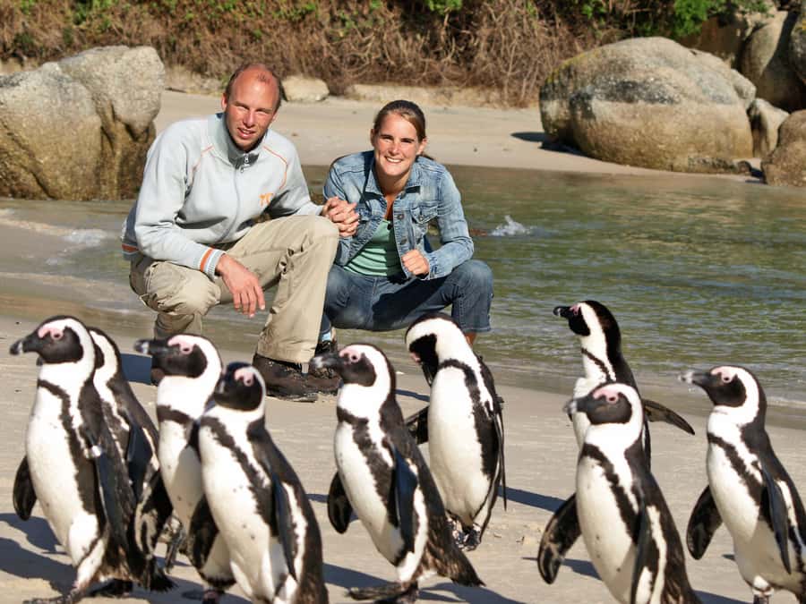 Cape Town: Cape of Good Hope & Penguins Day Tour with Pickup - What the $52 price really covers