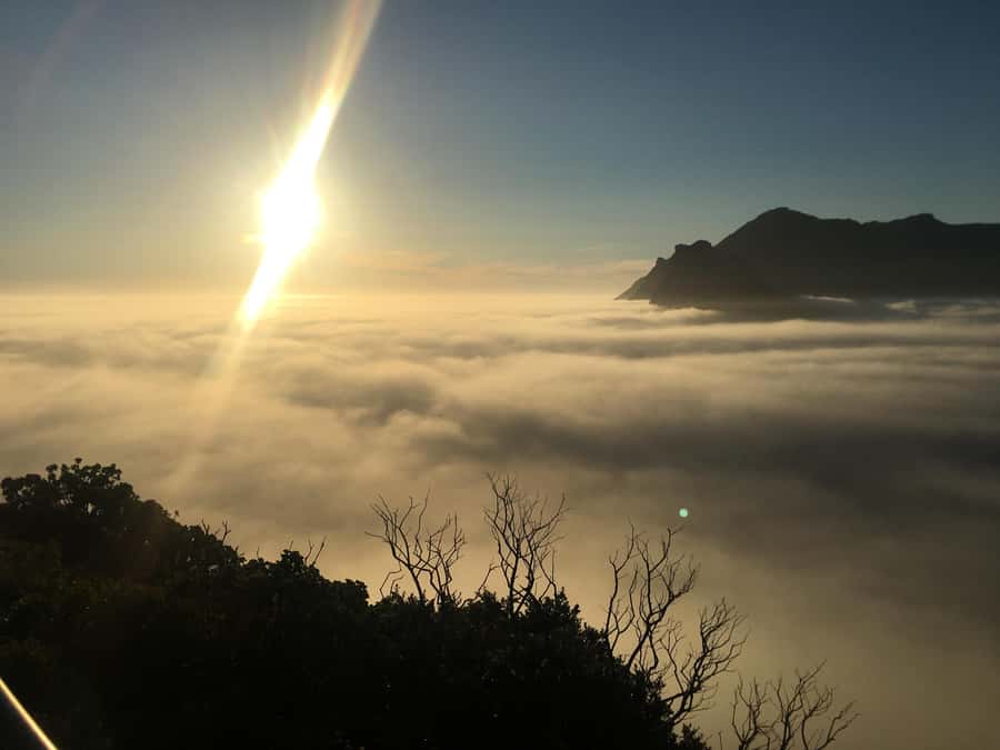 Cape Town: Cape of Good Hope & Penguins Full-Day Guided Tour - Boulders Beach is the day’s main wildlife stop