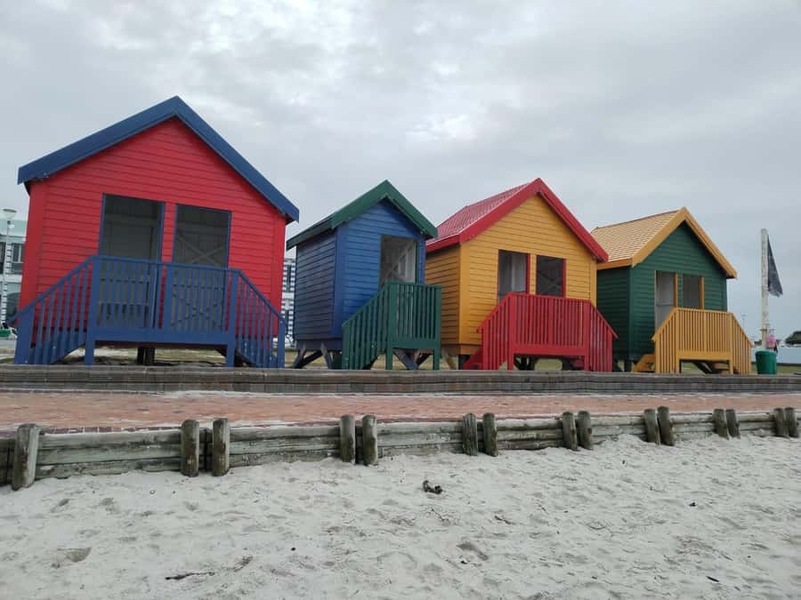 Cape Town: Cape of Good Hope, Penguins Instagram Group Tour - Boulders Beach and African penguins