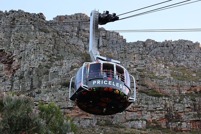 Cape Town: Cape of Good Hope, Table Mountain & Wine Tasting Tour - Why This Route Works for a Short Stay