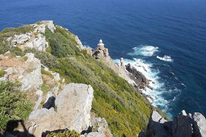 Cape Town: Cape Peninsula Half Day Private Tour - Who should book this Cape Peninsula tour