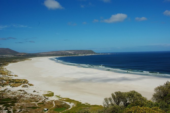 Cape Town: Cape Peninsula Half Day Private Tour - Chapman’s Peak Drive and the value of the route
