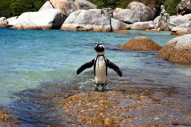 Cape Town: Cape Peninsula Private Tour Full Day - Cape Point Nature Reserve: Two Hours At The Peninsula’s Tip