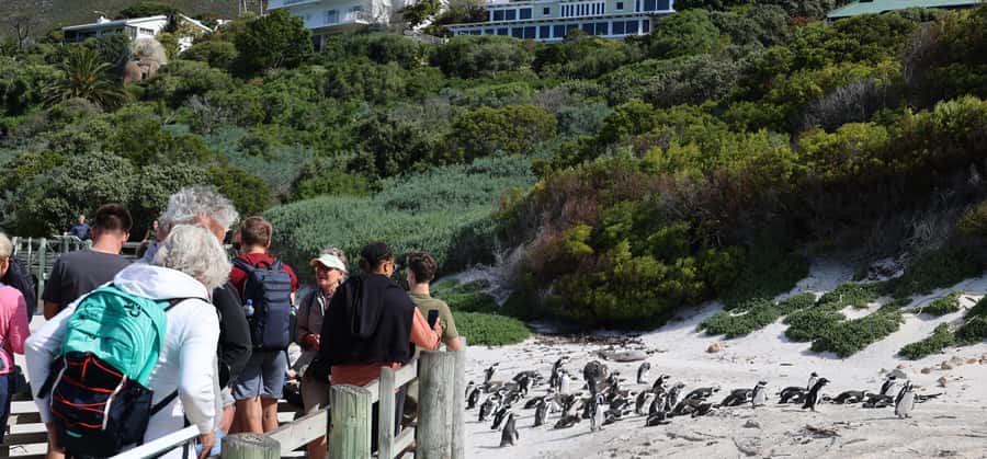 Cape Town: Cape Peninsula & Table Mountain Private Day Trip - Bo-Kaap begins the day with color and character