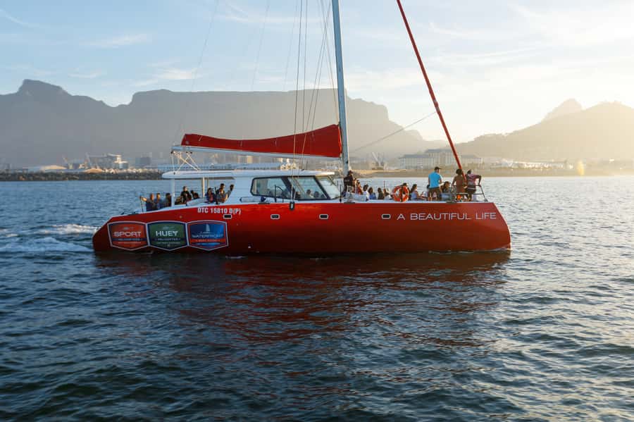 Cape Town: Catamaran Champagne Sunset Cruise - The first views across Table Bay
