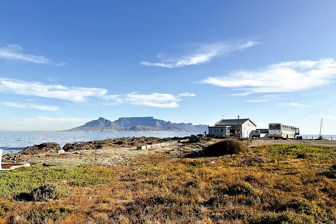 Cape Town City Highlights & Table Mountain Tour - What the $148.70 Price Really Buys