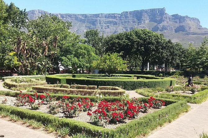 Cape Town City Tour Camps Bay Beach Plus Table Mountain Ticket - The Company’s Garden, art, and colonial-era memory