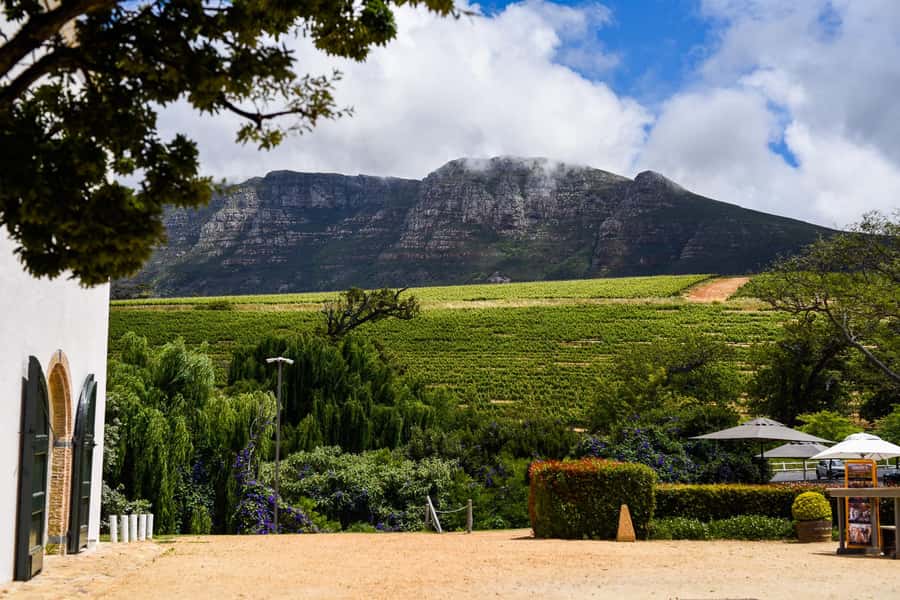Cape Town: Constantia Half-Day Wine Tour & Tastings - Key points to know before booking