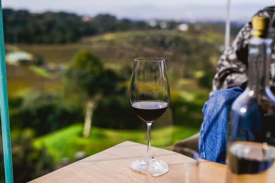 Cape Town: Constantia Half-Day Wine Tour & Tastings - Beau Constantia brings modern hillside style