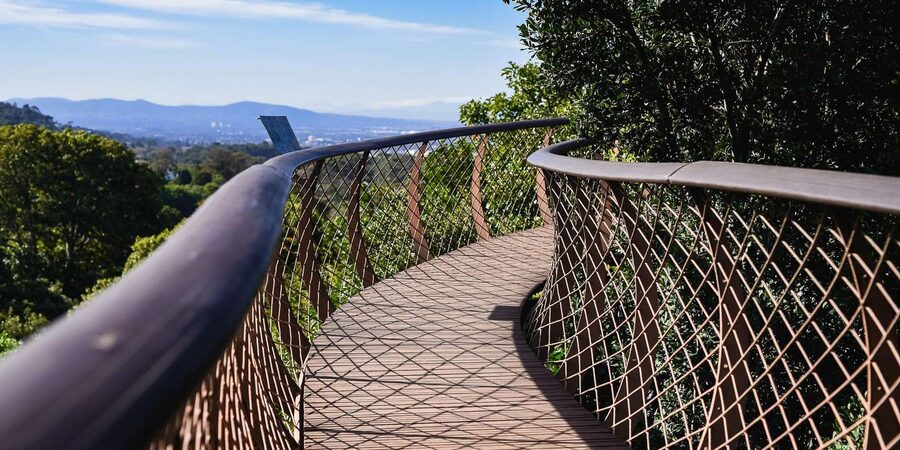 Cape Town: Constantia Half-Day Wine Tour & Tastings - Who gets the best value