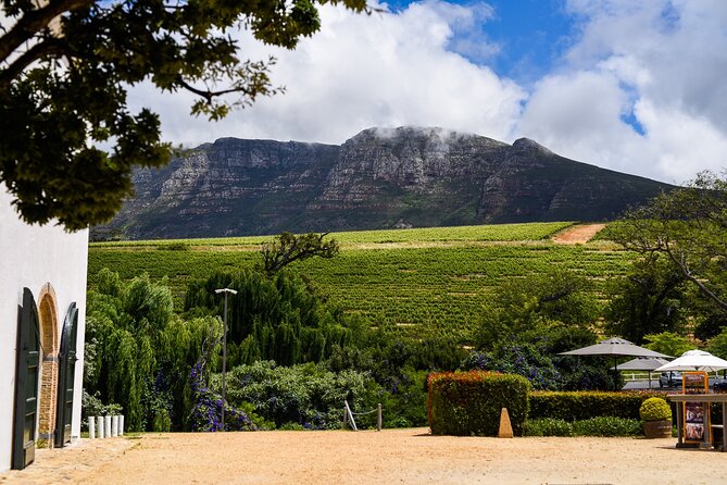 Cape Town: Constantia Wine Route Tour - The 9:00 a.m. pickup sets the pace