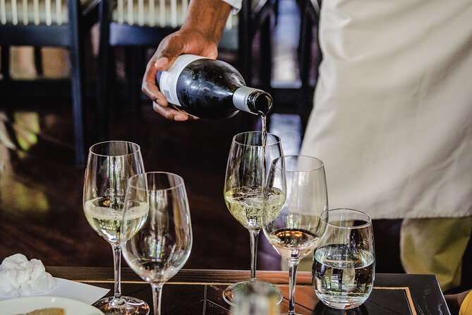 Cape Town: Constantia Wine Route Tour - Babylonstoren: gardens, cellar, and the first tasting