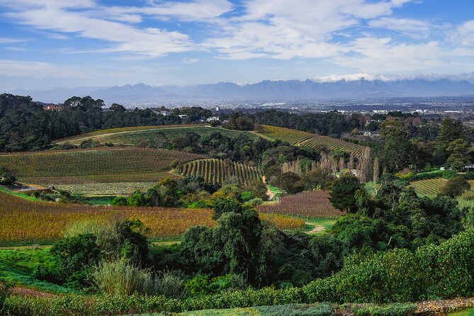 Cape Town: Constantia Wine Route Tour - La Cotte: a one-hour lunch break at your own cost