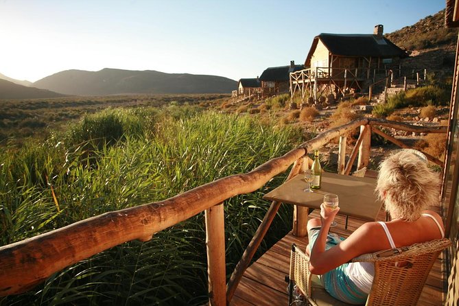 Cape Town Day Safari - Lunch and Time at the Reserve