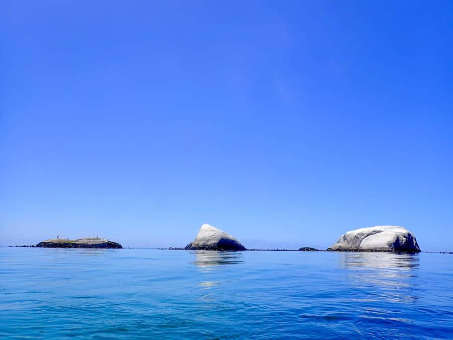 Cape Town: Discover Scuba Diving - 1 day experience - Key points at a glance