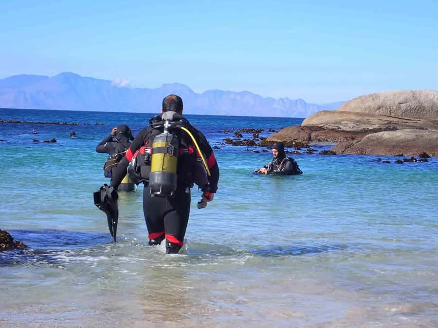 Cape Town: Discover Scuba Diving - 1 day experience - The one-hour class: learning before you enter the water