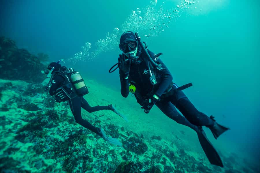 Cape Town: Discover Scuba Diving - 1 day experience - The one-hour safety briefing: building comfort before the session
