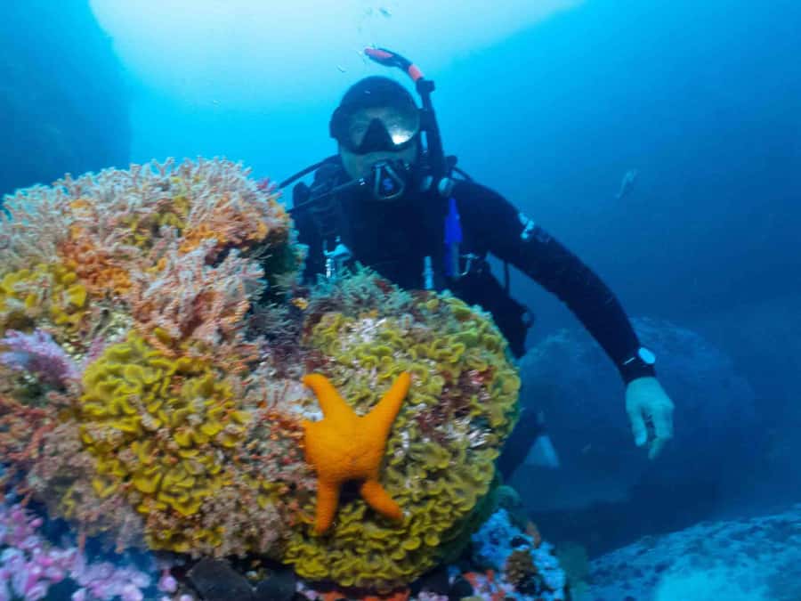 Cape Town: Discover Scuba Diving - 1 day experience - The two-hour underwater outing at Long Beach