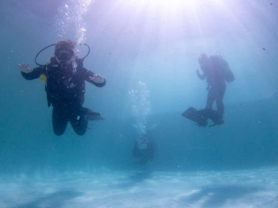 Cape Town: Discover Scuba Diving - 1 day experience - Is $155 a fair price?