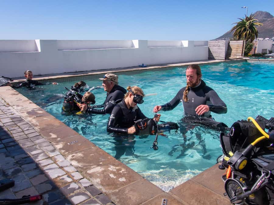 Cape Town: Discover Scuba Diving - 1 day experience - Arriving at Dive Team in Simon’s Town