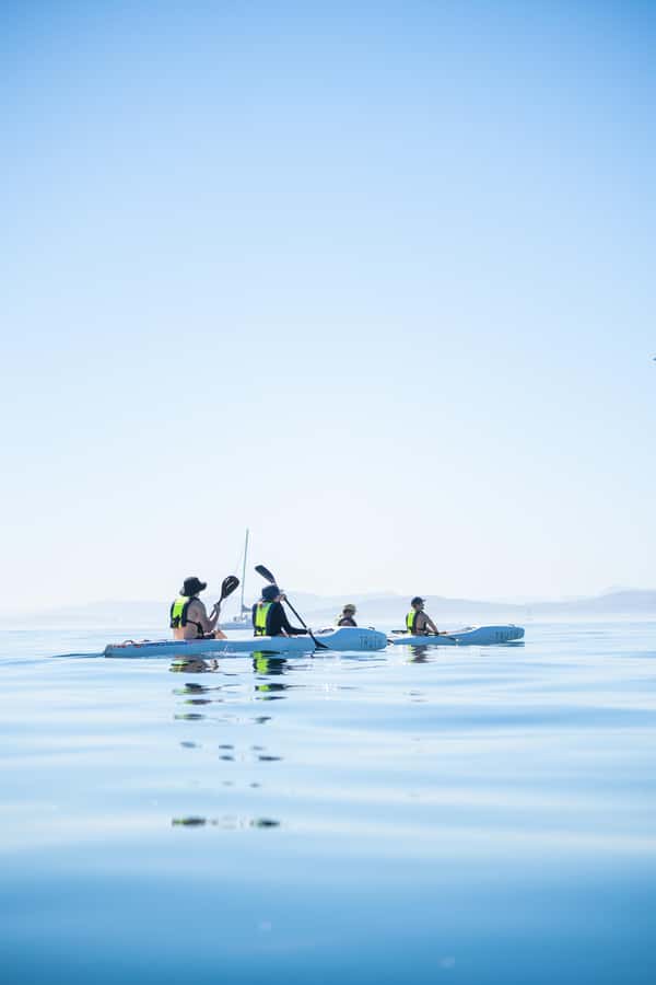 Cape Town: Dolphin & Ocean Wildlife Kayaking Adventure ⚓️ - The garden, showers, and coffee after the paddle