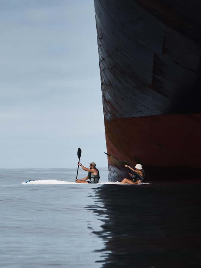 Cape Town: Dolphin & Ocean Wildlife Kayaking Adventure ⚓️ - Who will enjoy this Atlantic kayaking trip?