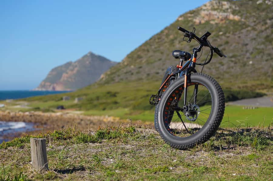 Cape Town: E-Bike Cape Peninsula Tour - Boulders Beach adds the penguin encounter