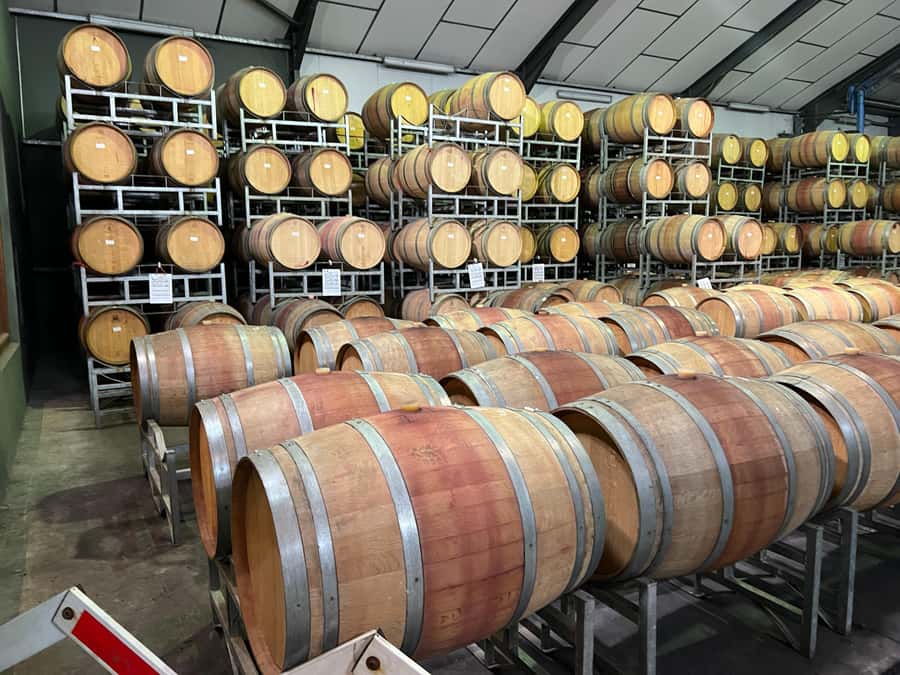 Cape Town: Franschhoek and Wine Tram Tour - Riding the Franschhoek Wine Tram
