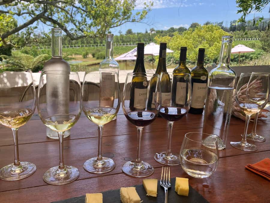Cape Town: Franschhoek Wine Tram Hop-On Hop-Off Tour - The guide can make or break the day