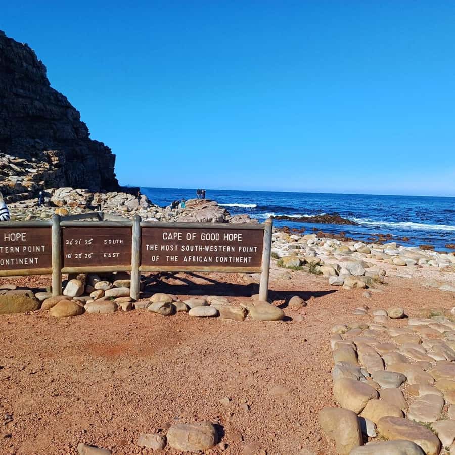 Cape Town: Full Day Cape of Good Hope with Penguins Tour - Chapman’s Peak adds drama when the road is open