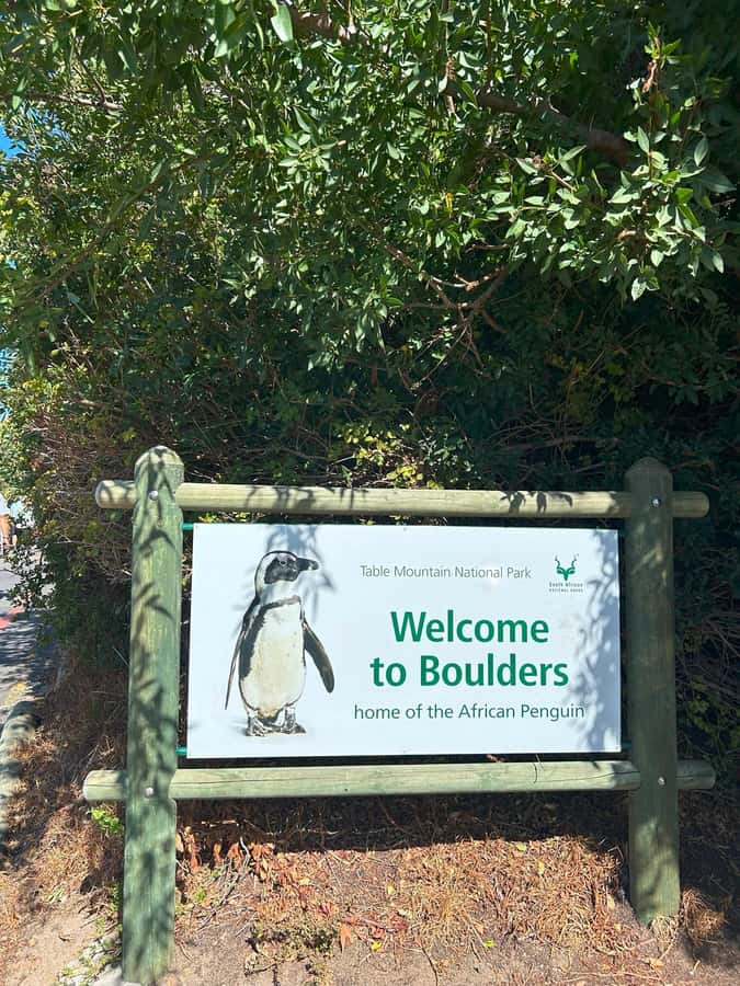 Cape Town: Full Day Cape of Good Hope with Penguins Tour - Boulders Beach offers the most unusual wildlife stop