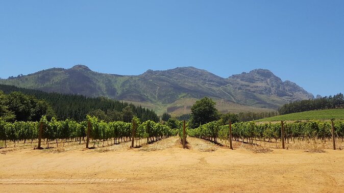 Cape Town Full Day Family Fun With Kids Private Tour - Six details that shape the day
