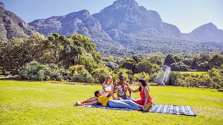 Cape Town: Full-Day Kirstenbosch, Bo-Kaap, and Penguins Tour - Hout Bay seals and the optional boat trip