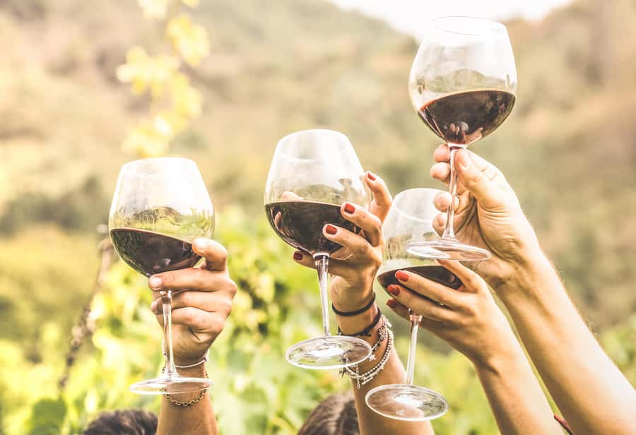 Cape Town: Full-Day Wine Tasting Tour with Wine Tram - Is $80 good value?