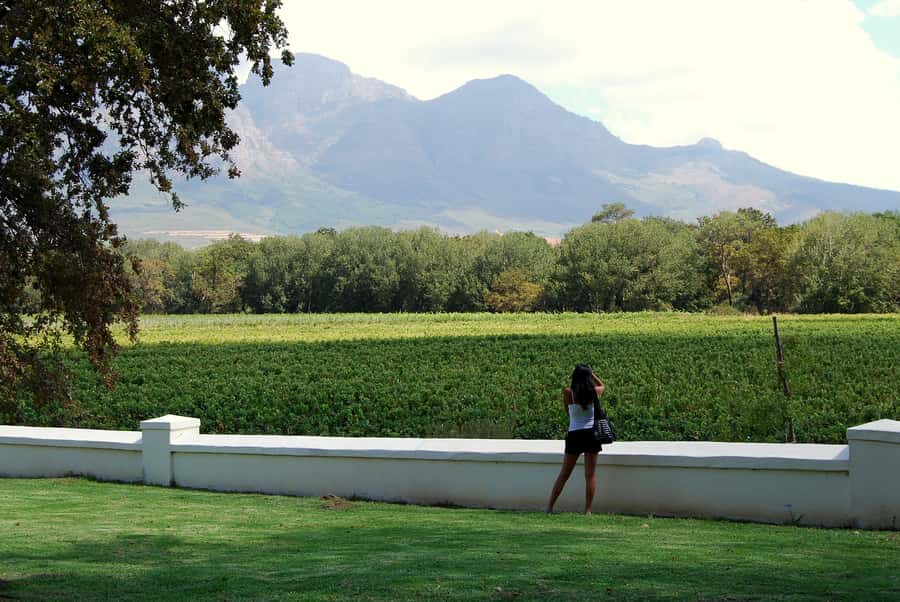 Cape Town: Full-Day Winelands Tour with Wine Tastings & Food - The five things to know before booking