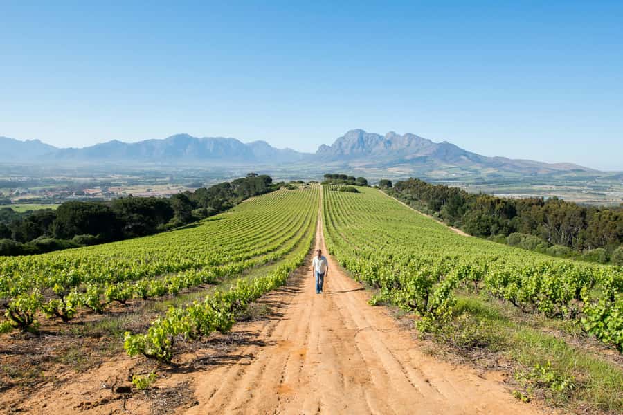 Cape Town: Full-Day Winelands Tour with Wine Tastings & Food - Why this route works so well