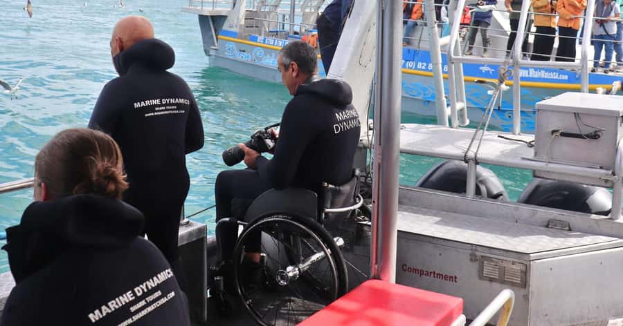 Cape Town: Gansbaai Eco-Friendly Shark Cage Diving Cruise - Video, photographs, and what you should budget for