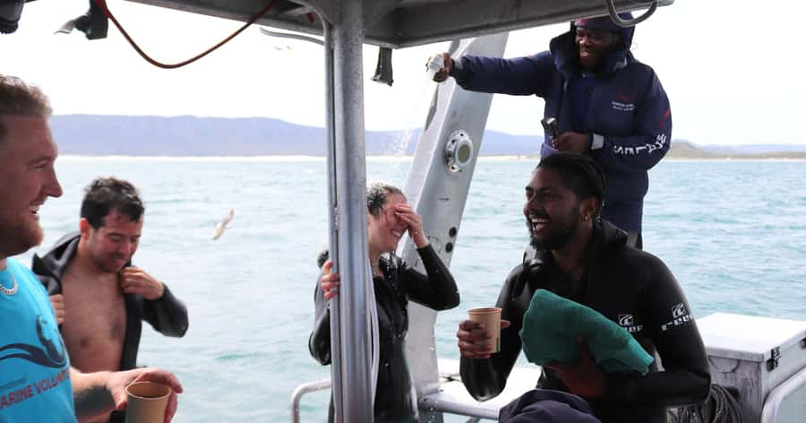 Cape Town: Gansbaai Eco-Friendly Shark Cage Diving Cruise - Is $237 a fair price?