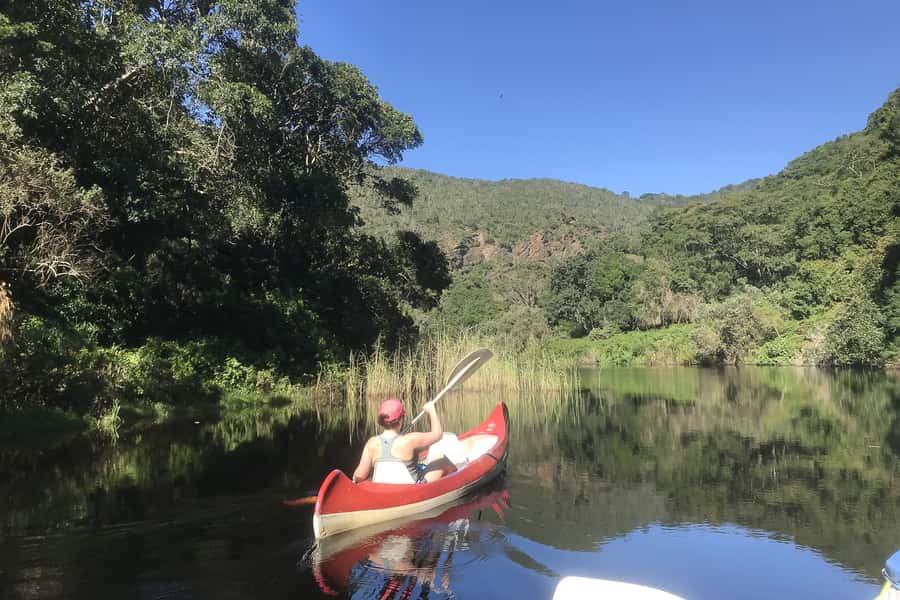 Cape Town: Garden Route and Addo Elephant Park 6-Day Safari - Five things to know before you book