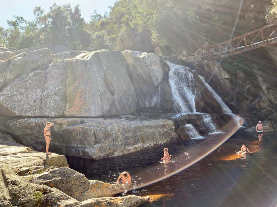 Cape Town: Garden Route and Addo Elephant Park 6-Day Safari - Day five: the best chance for elephants at Addo