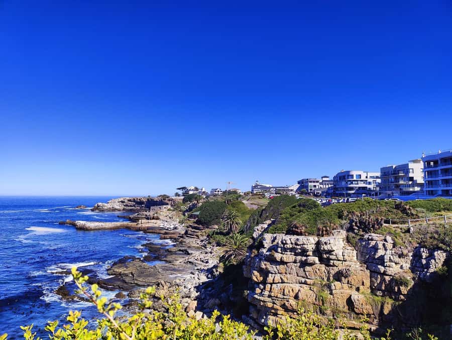 Cape Town: Garden Route and Addo Elephant Park 6-Day Safari - Accommodation, meals, and the real price