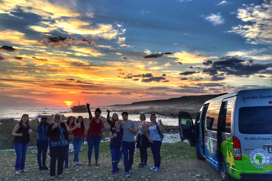 Cape Town: Garden Route and Addo Elephant Park 6-Day Safari - Day one: penguins, whales, and Africa’s southern tip